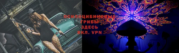 соль ск Верхний Тагил