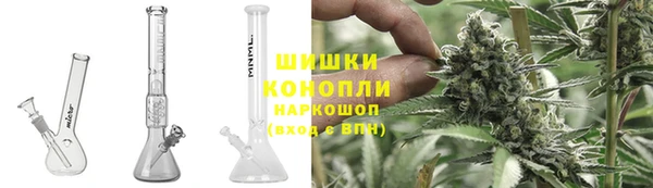 соль ск Верхний Тагил