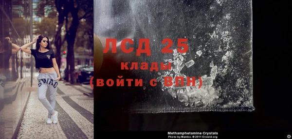 сатива Верея