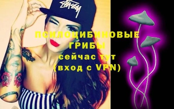 сатива Верея