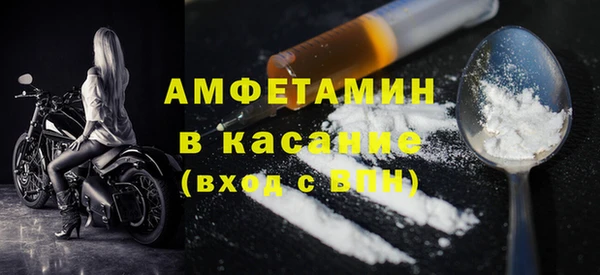 сатива Верея