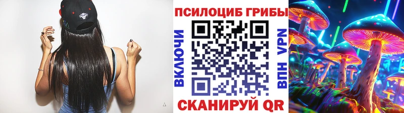 Купить  Темрюк  Псилоцибиновые грибы GOLDEN TEACHER 
