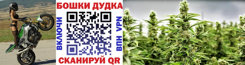 Каннабис OG Kush  Купить  Темрюк 